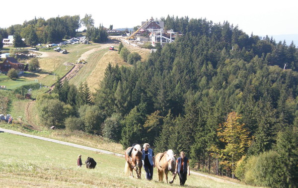 P9260043.JPG