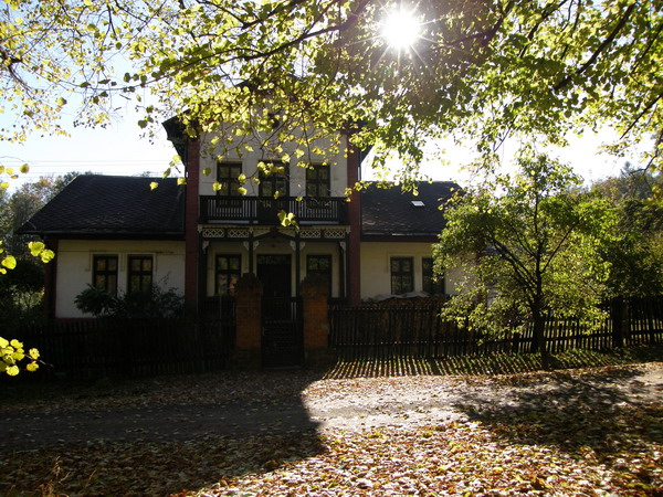 PA250311.JPG