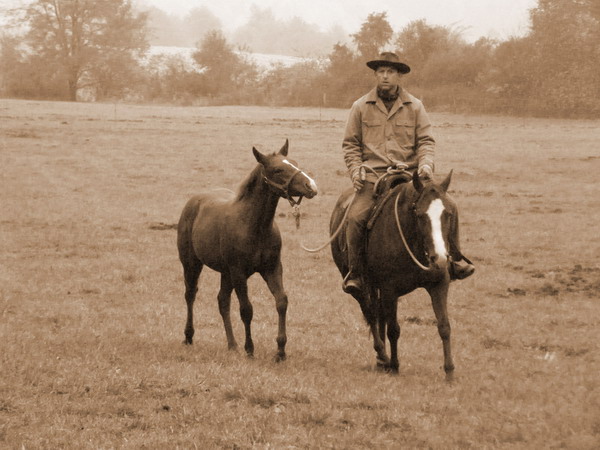 PA240202.JPG