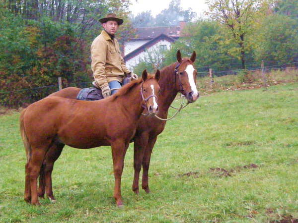 PA240207.JPG