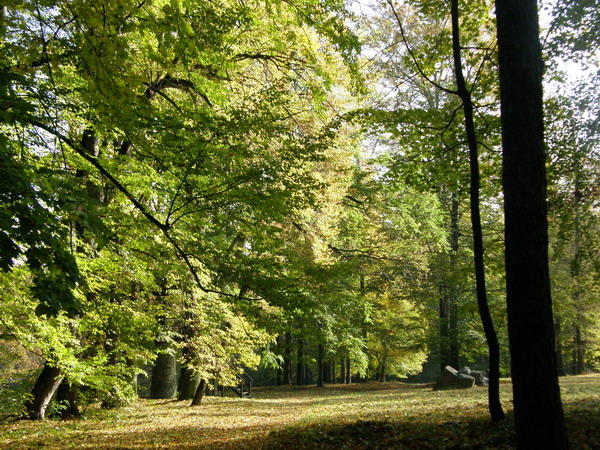 PA250248.JPG
