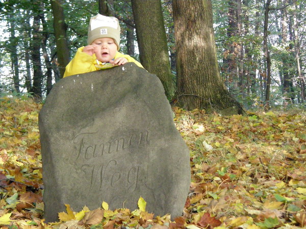 PA250252.JPG