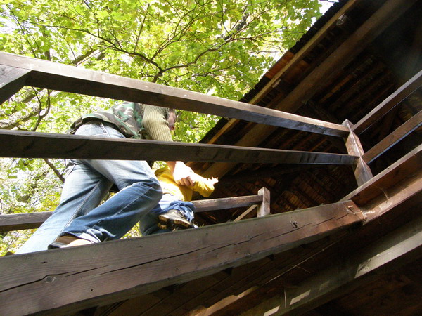 PA250264.JPG