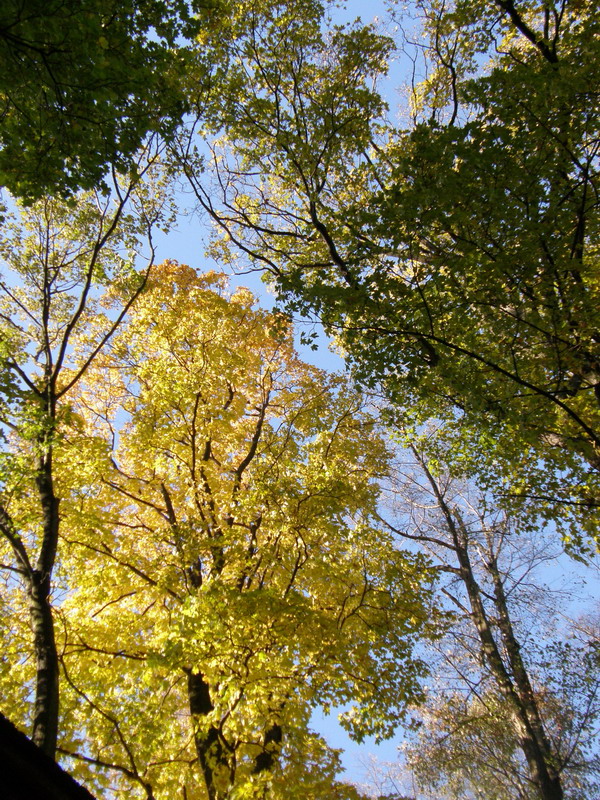 PA250267.jpg