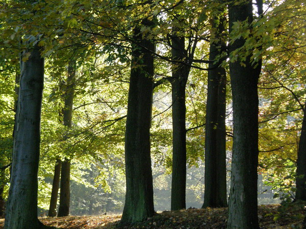 PA250270.JPG