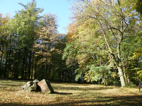 PA250275.JPG