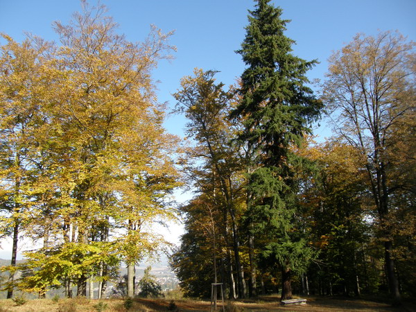PA250282.JPG
