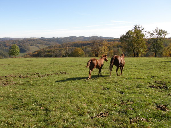 PA250298.JPG