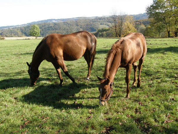 PA250299.JPG