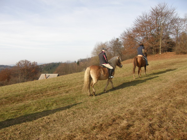 PB220072.JPG