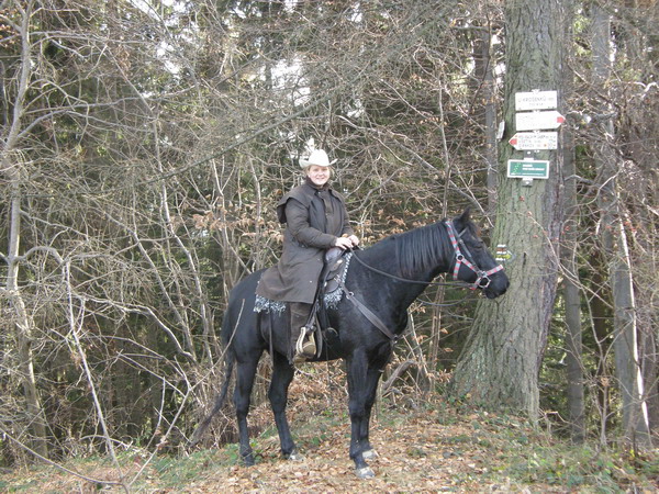PB220077.JPG