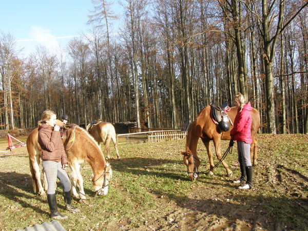 PB220094.JPG