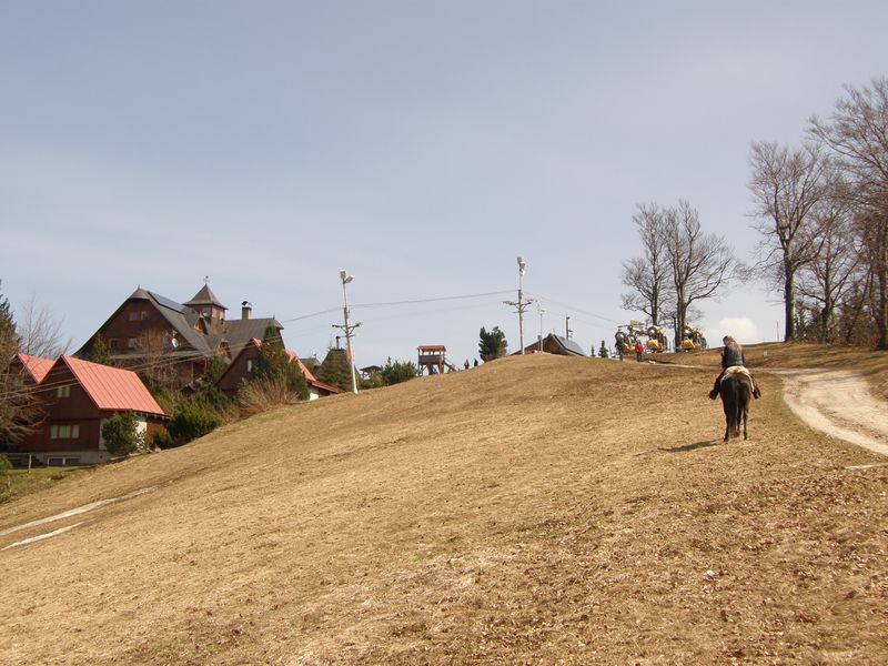 P4180310.JPG