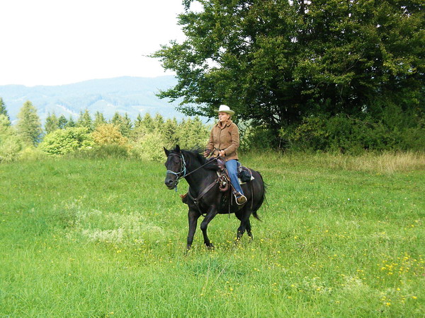 cowgirl4.jpg